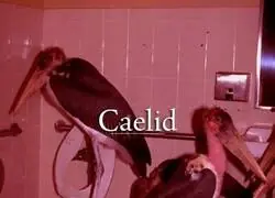 &iquest;Por qu&eacute; todo en Caelid es gigante?