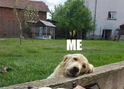 &iexcl;Que sea 21 ya!