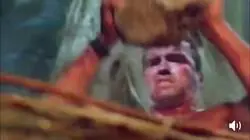 El d&iacute;a que el depredador logr&oacute; la paz con Arnold