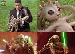 Un d&iacute;a pegan el estir&oacute;n y no te das cuenta