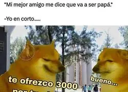 Negocios son negocios