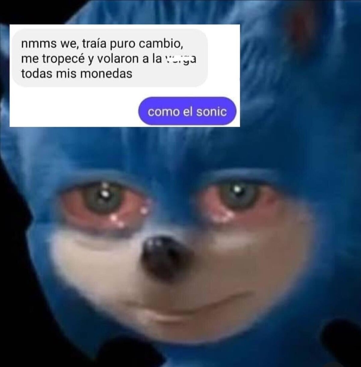 Como el Erizo azul
