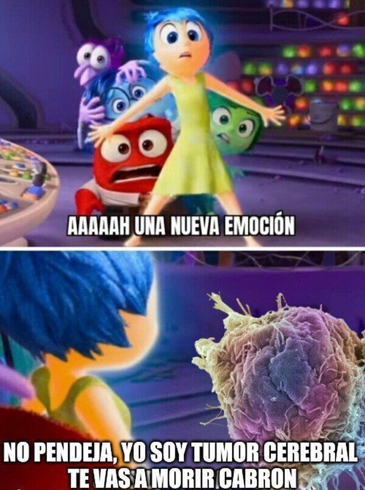 Un chequeo al año, muchachos