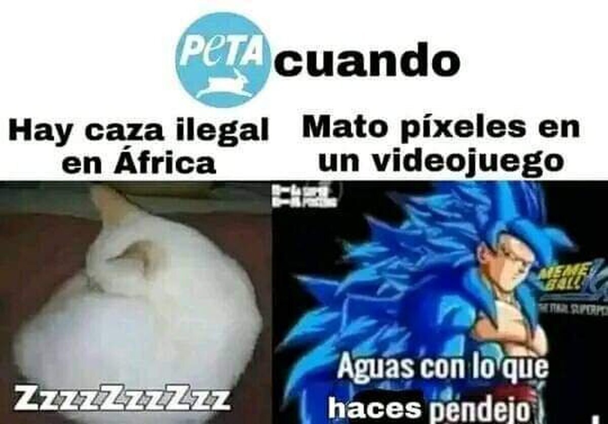 Prioridades bien claras