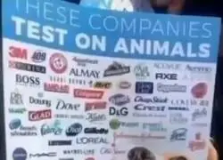 Basta de maltrato animal