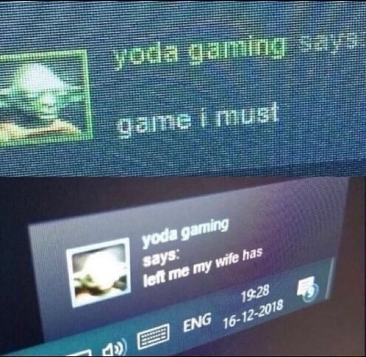Pobre Yoda. Espero la vida le haya mejorado