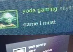 Pobre Yoda. Espero la vida le haya mejorado