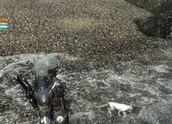 Est&aacute; meditabundo este gatito