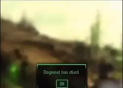 &iexcl;Alb&oacute;ndiga, no!