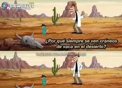 Esta es la &uacute;nica pregunta con sentido que leer&aacute;s hoy