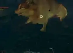 A d&iacute;a de la fecha sigue siendo el mejor mod en la historia de Dark Souls