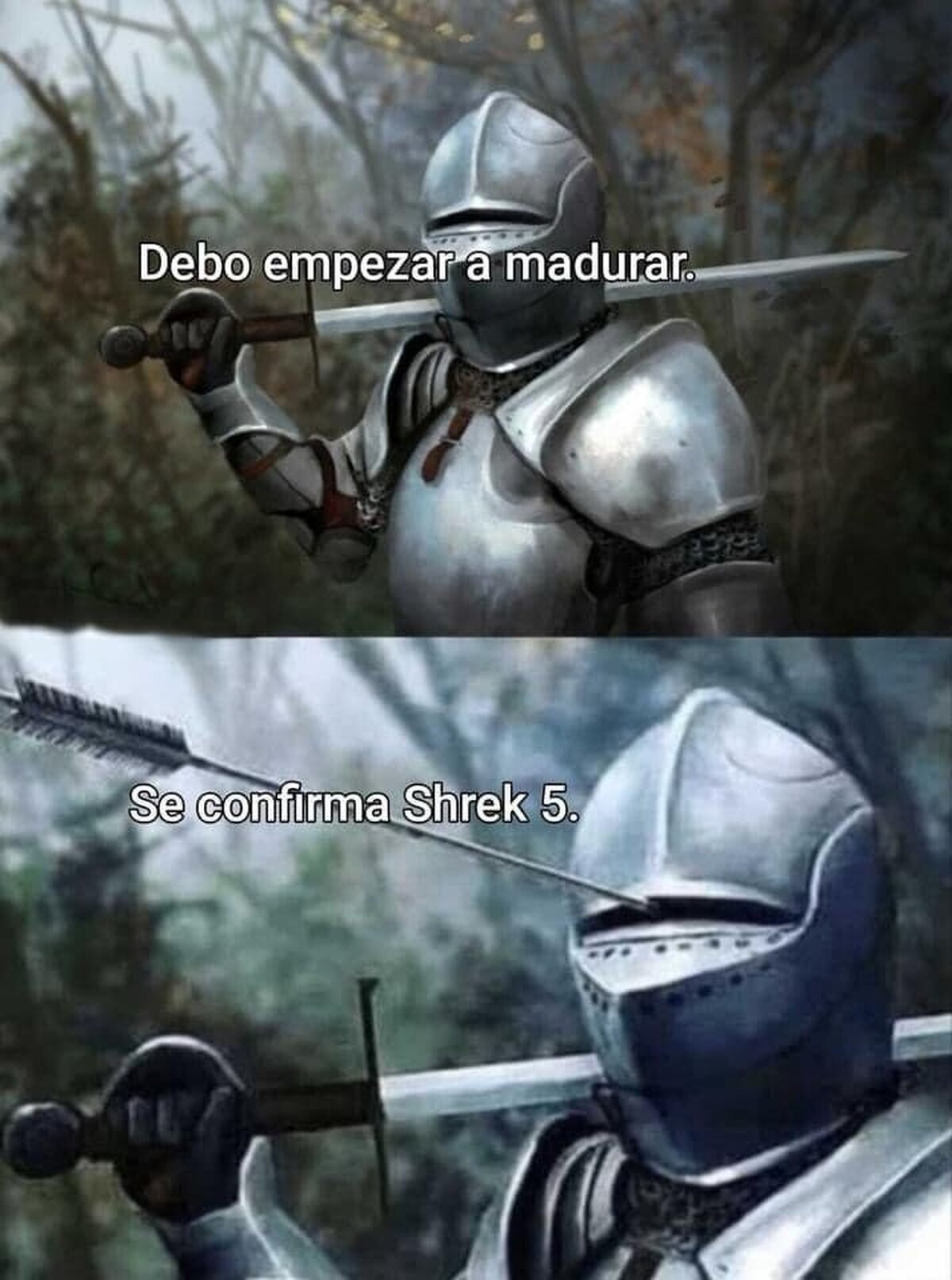 Ya maduraré en 2026