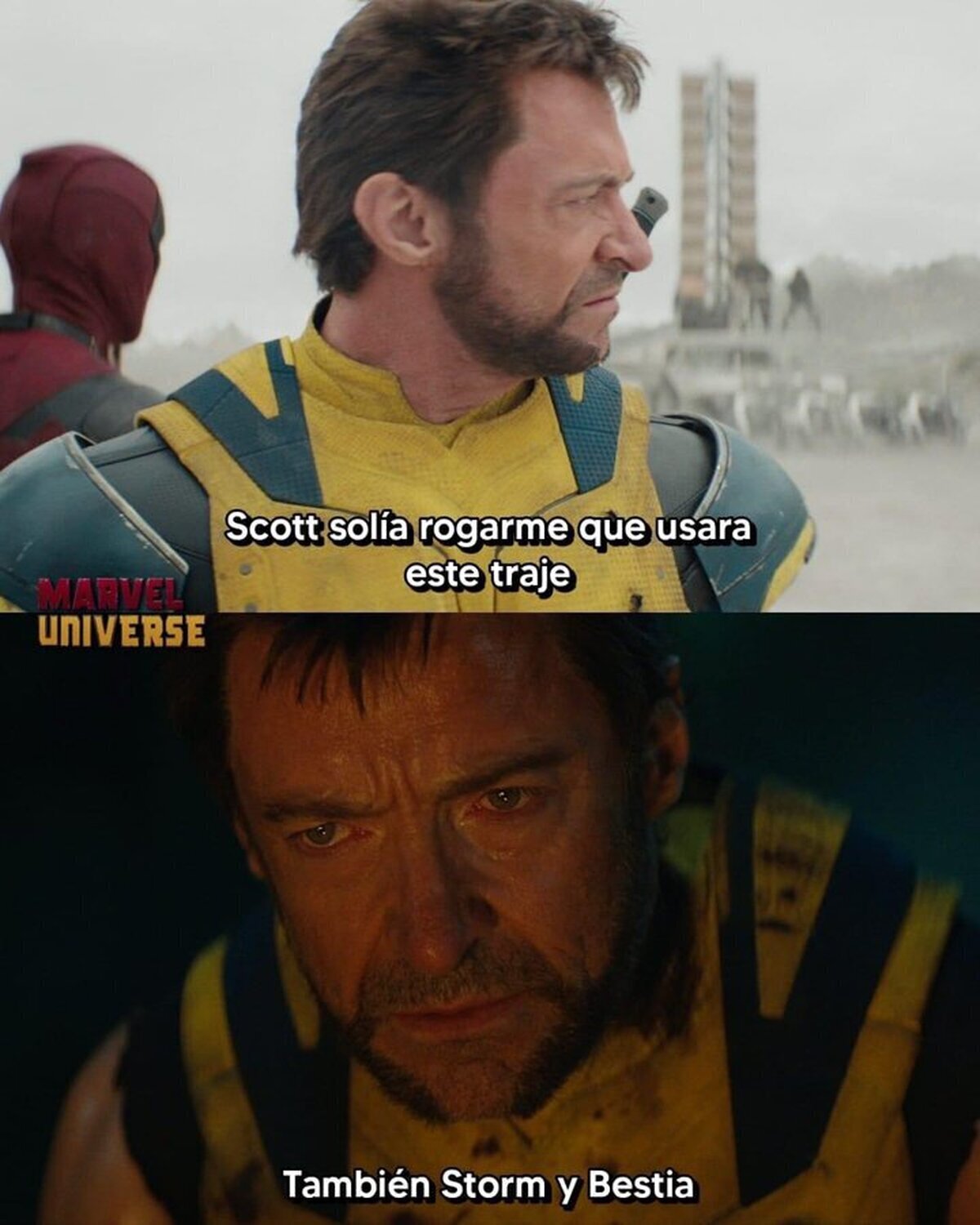 En honor a los caídos.