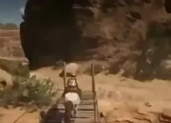 El caballo ara&ntilde;a s&iacute; existe