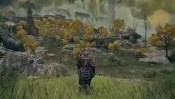 Post de apreciaci&oacute;n para Elden Ring