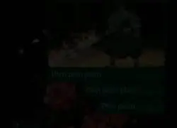 Si no entendi&oacute;, no es la indicada