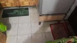 Con raz&oacute;n no encontrabe el mousepad