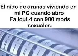 Pobre ara&ntilde;ita