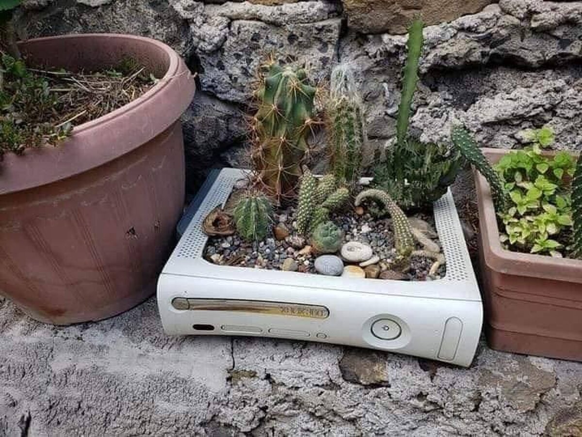 En esa casa no se desperdicia nada