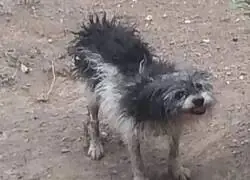 &iquest;Que rayos es esa cosa?