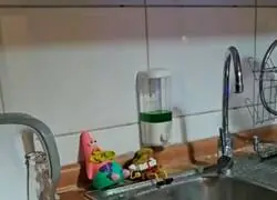 Esa esponja no va m&aacute;s