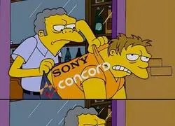 &iquest;Usted no aprende, verdad?