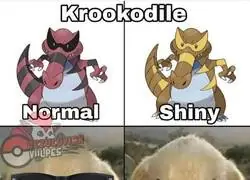 &iquest;Qu&eacute; pas&oacute; con este dise&ntilde;o?