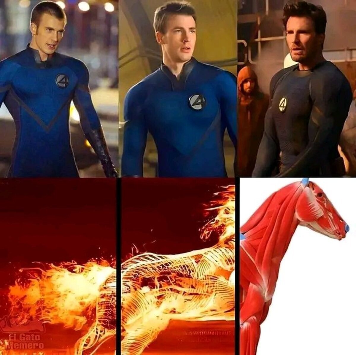 Así le fue a Chris Evans como un fantástico