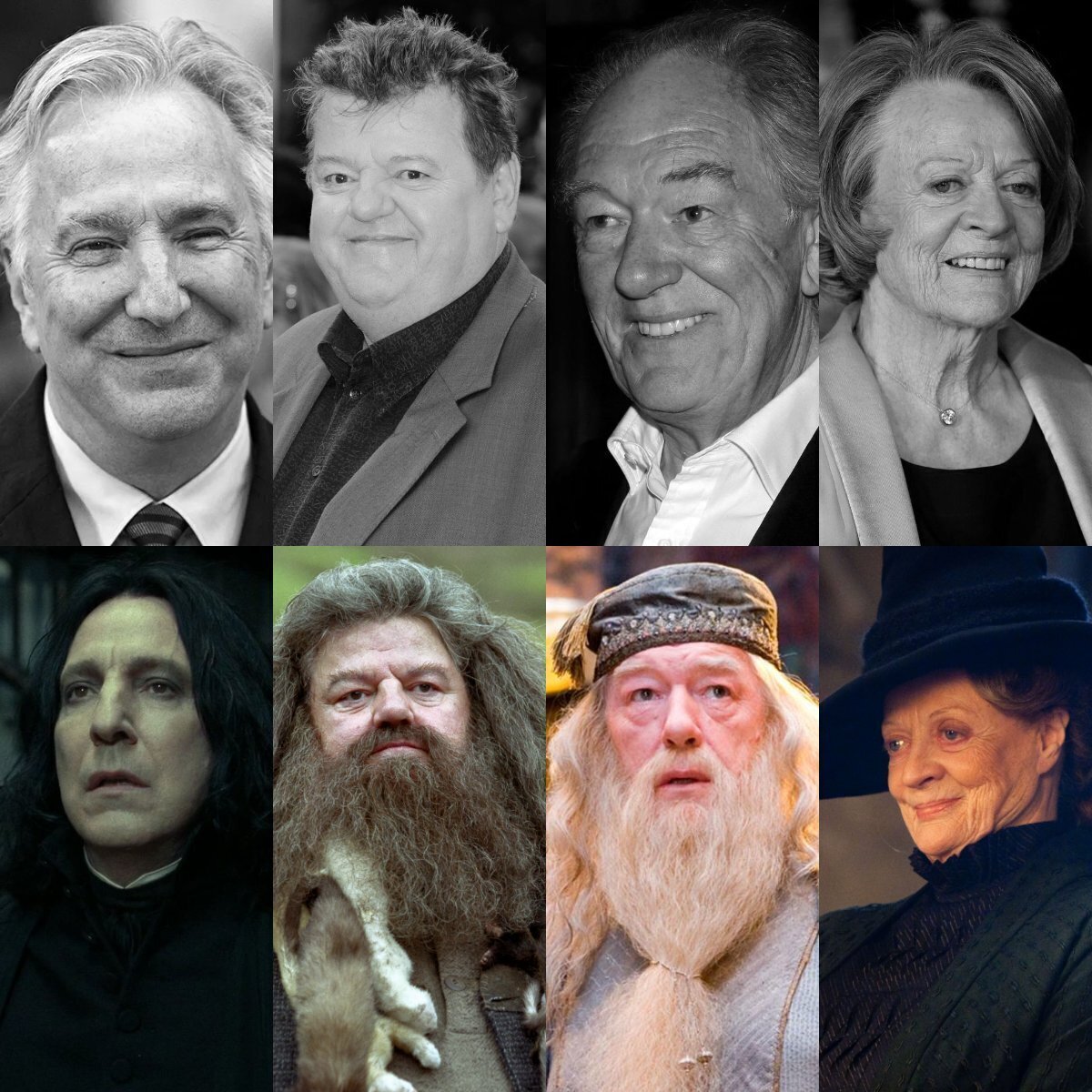 Mis profesores favoritos ya no están