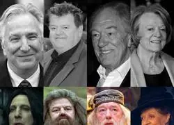 Mis profesores favoritos ya no est&aacute;n