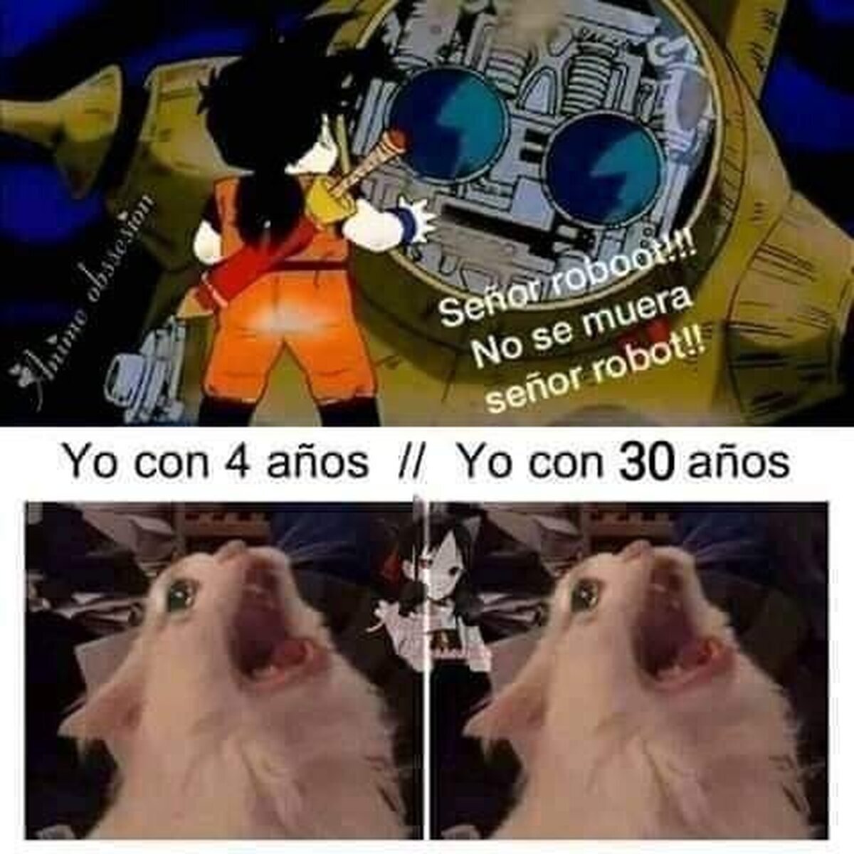 El señor Robot de Dragon Ball Z