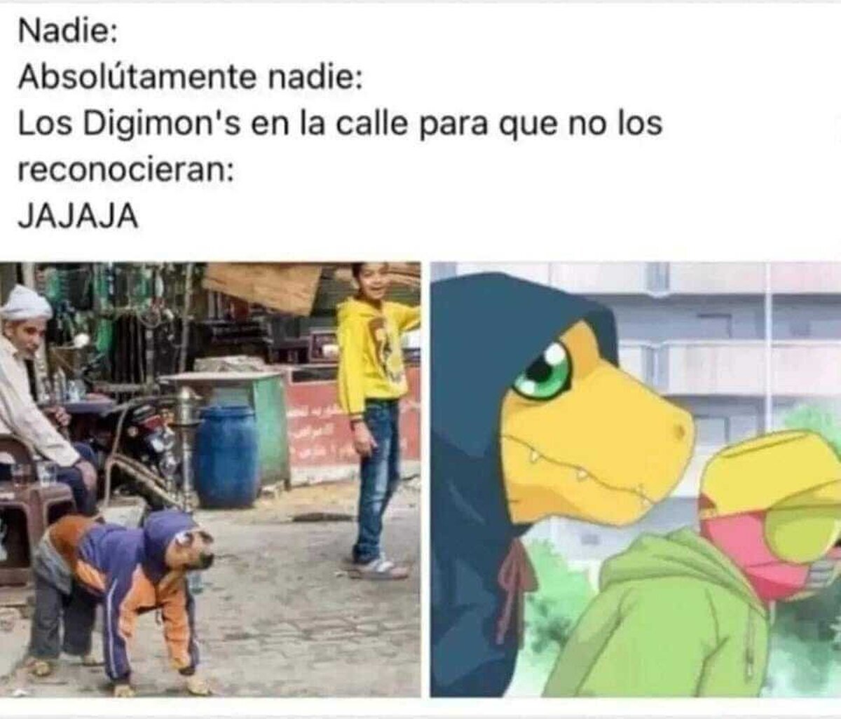 Pero mira ese hocico