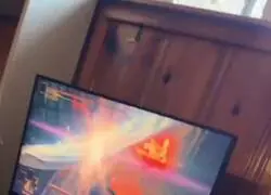 El gato cur&aacute;ndole, sumamente importante