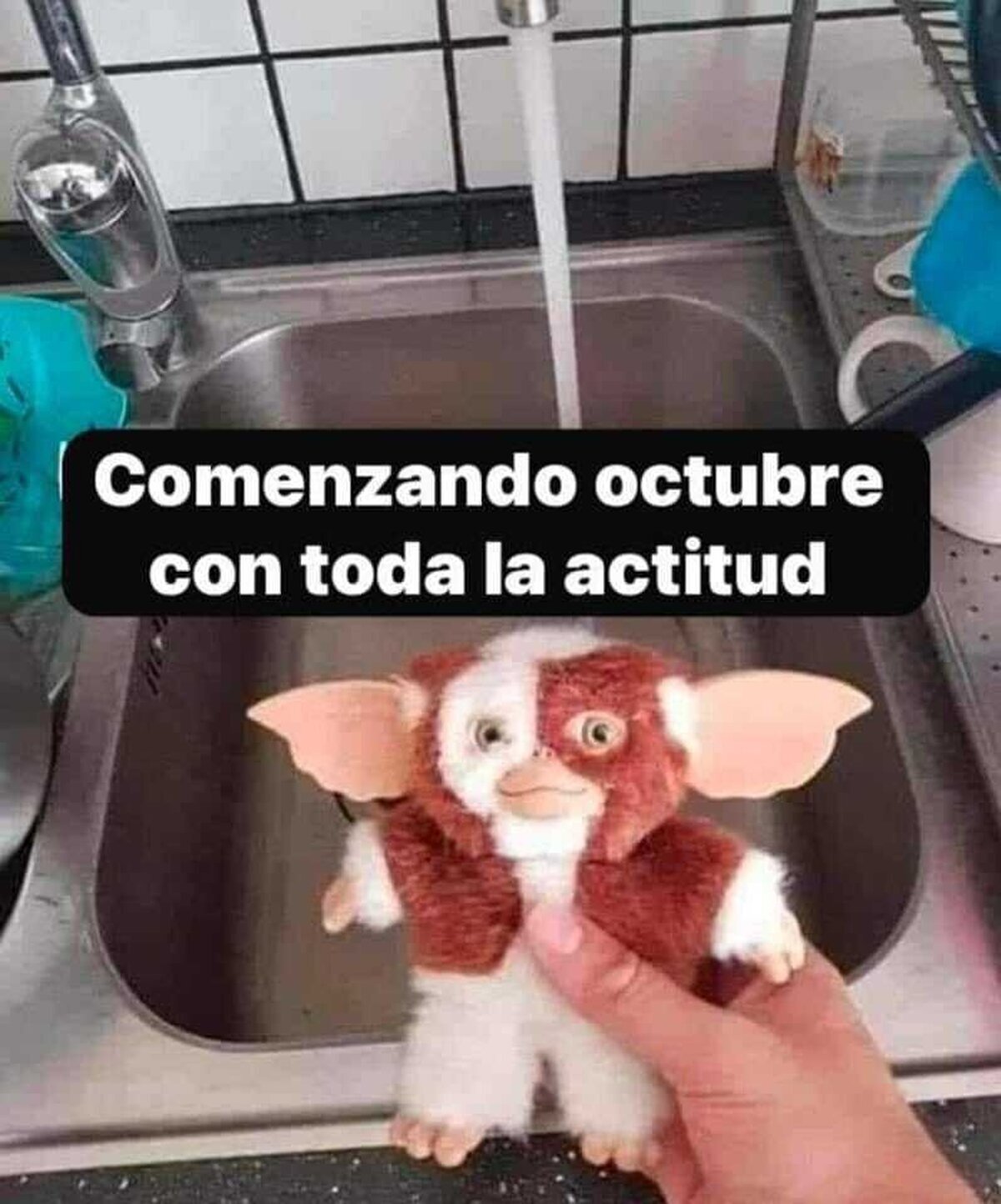 Y a media noche, para que aguante