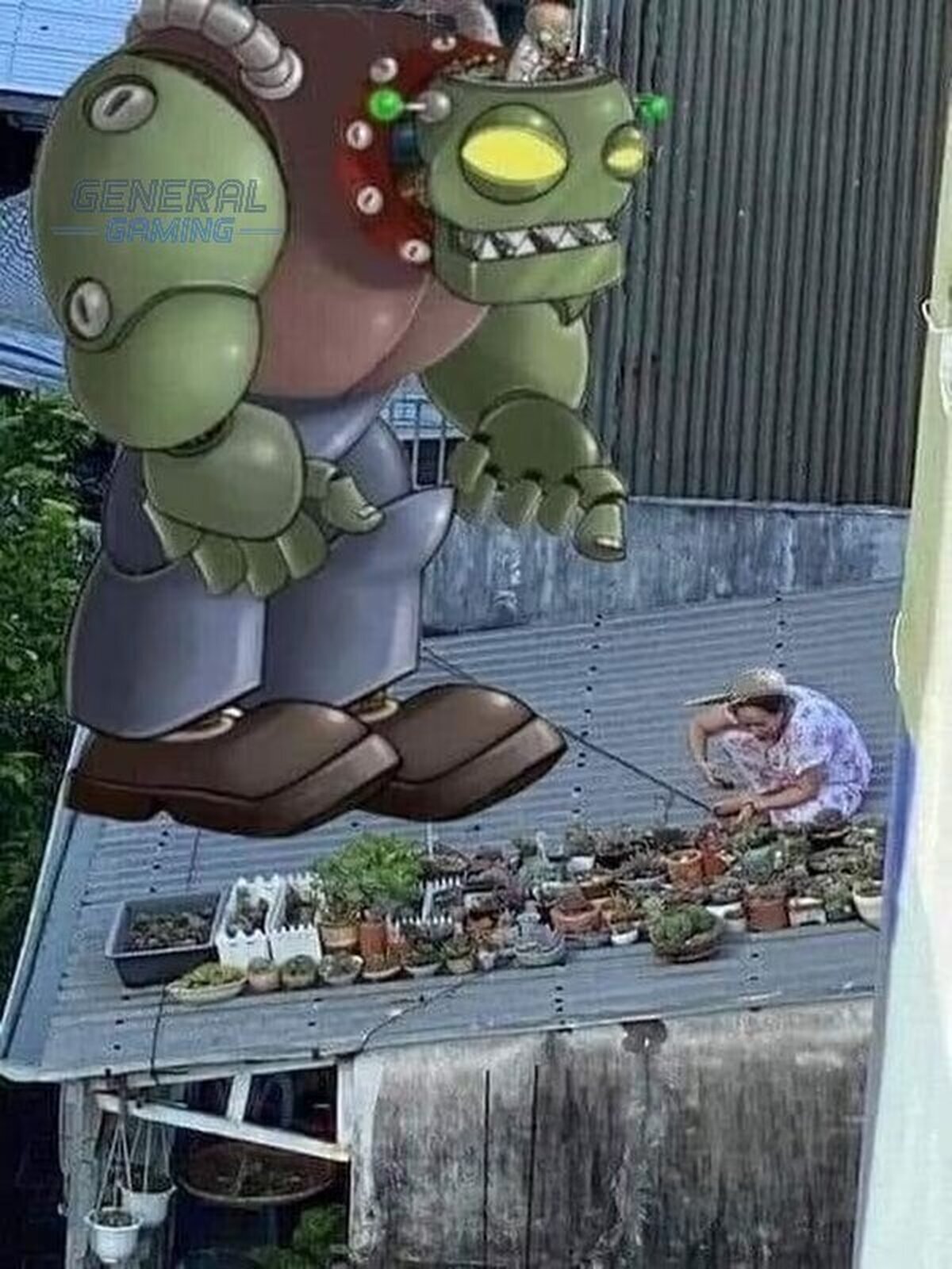 ¡Abuela, detrás de tí!