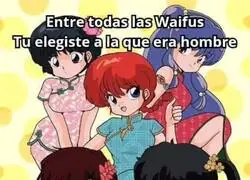 Resumen del fandom de Ranma