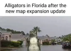 Los caimanes en Florida tras la actualizaci&oacute;n de expansi&oacute;n de mapa: