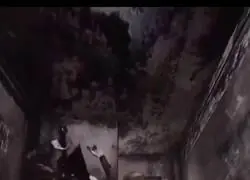 Los del remake no incluyeron esto. Decepci&oacute;n se queda corto.