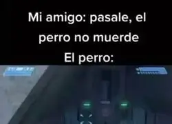 Disculpa si desconf&iacute;o