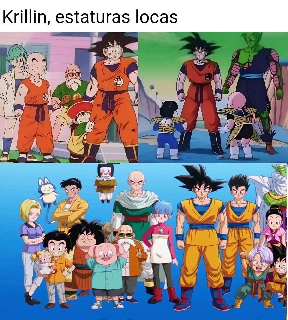 Muy poca consistencia con la estatura de Krillin