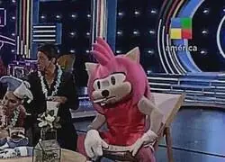 Una Amy cansada de la vida