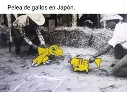 Seguramente ilegal entonces