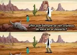 La l&oacute;gica de los craneos del desierto