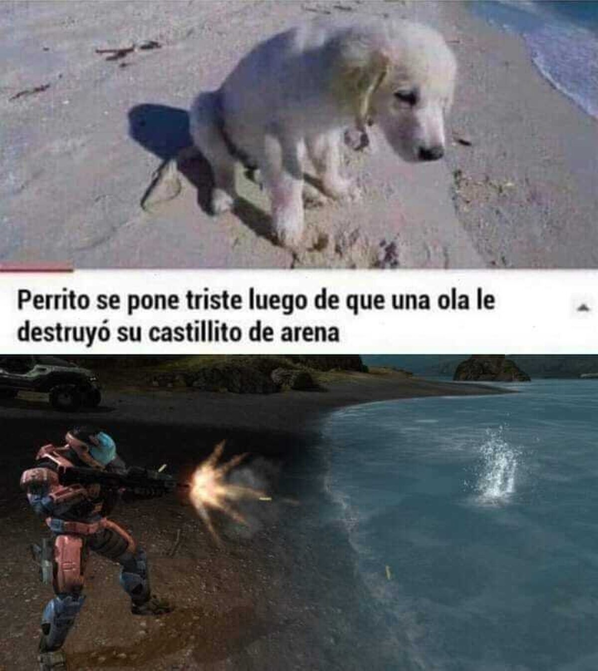 No te lo perdonaré