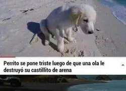 No te lo perdonar&eacute;