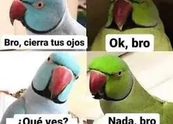 Mi contribuci&oacute;n en el equipo