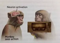 &iexcl;Es una trampa!