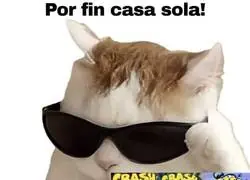 Se viene marat&oacute;n de Crash