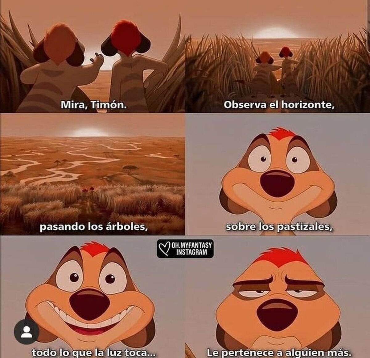 La otra perspectiva de esa sabana