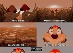 La otra perspectiva de esa sabana